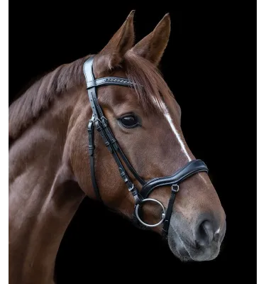 Ogłowie Waldhausen X-line New Shape II czarny cob