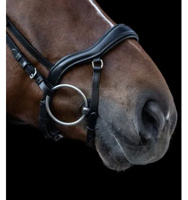 Ogłowie Waldhausen X-line New Shape II czarny cob