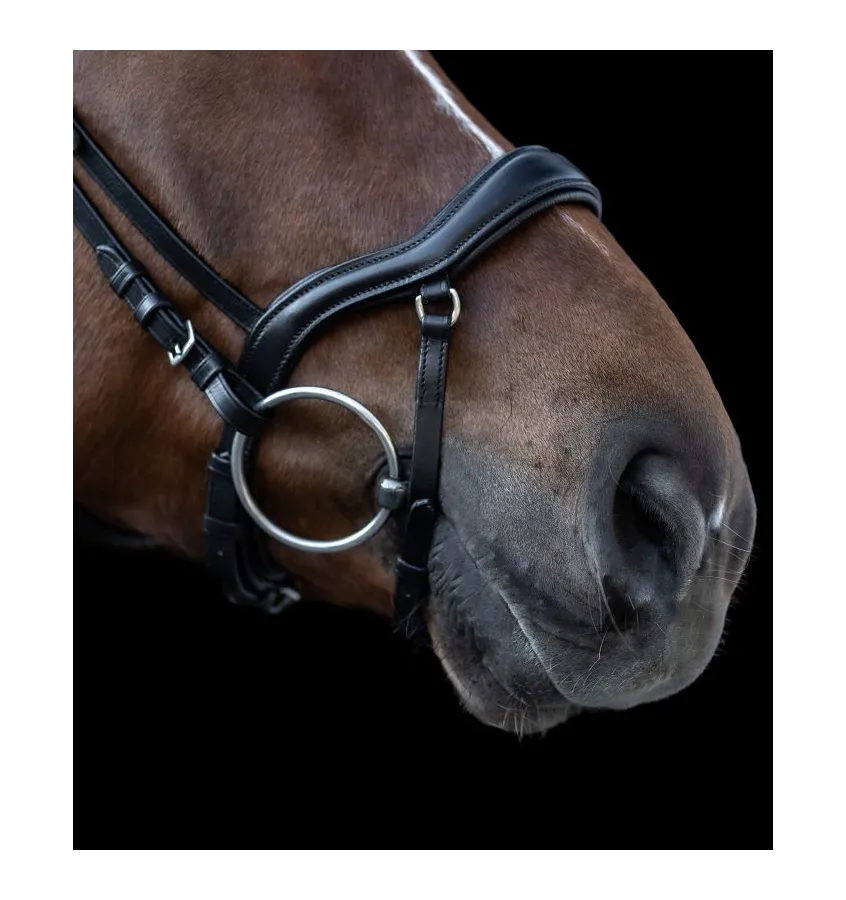 Ogłowie Waldhausen X-line New Shape II czarny cob