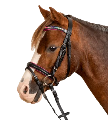 Oglowie dla kucyka z różowym podszyciem STAR Pinky mini shetty