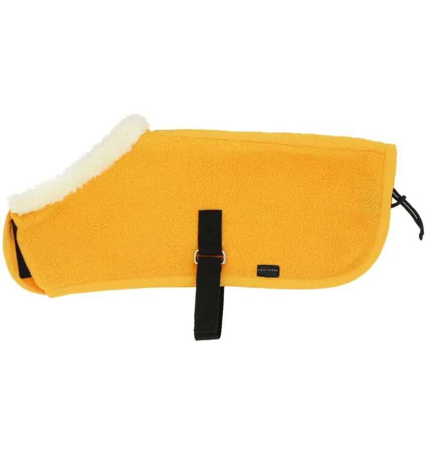 Mini derka dla konika PONY ACADEMY zielony