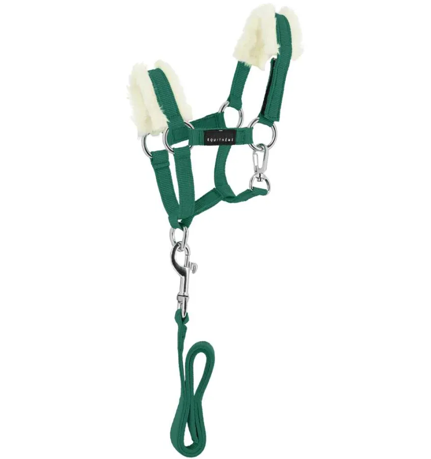 Mini kantar z uwiązem dla konika PONY ACADEMY zielony