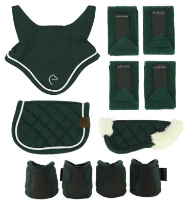 Zestaw mini akcesoriów dla konika PONY ACADEMY zielony