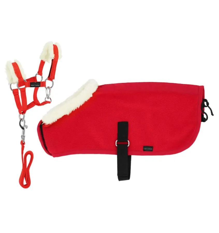 Zestaw derka i kantar dla konika PONY ACADEMY zielony