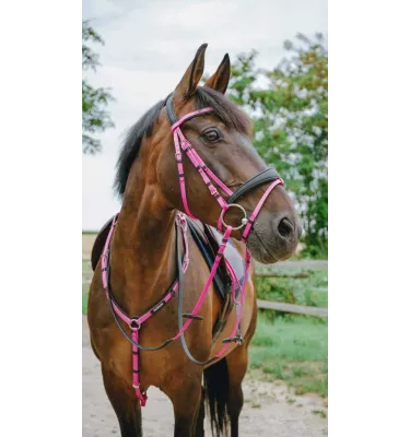 Ogłowie rajdowe dla konia Endurance Pop czarny cob