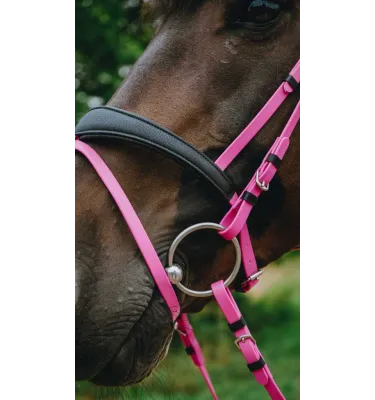 Ogłowie rajdowe dla konia Endurance Pop czarny cob