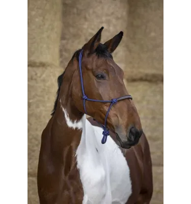 Kantar sznurkowy dla konia Norton beż full