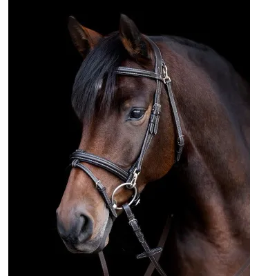 Ogłowie Waldhausen X-Line Work czarn cob