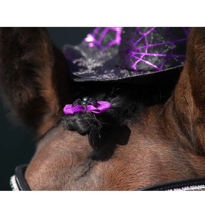 Gumki do grzywy Halloween spider