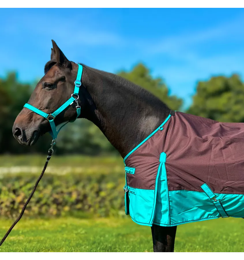 Derka padokowa Clarion 50g 125