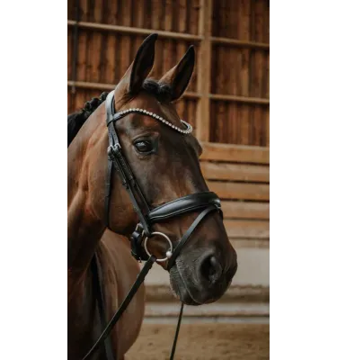 Ogłowie dla konia Diams czarny full