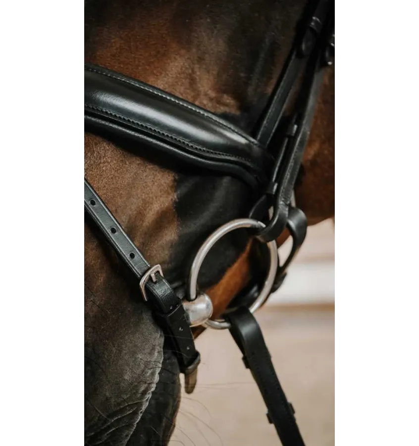 Ogłowie dla konia Diams czarny full