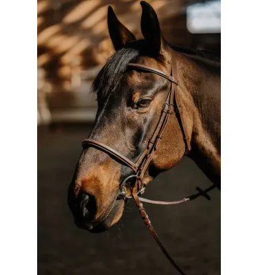 Ogłowie dla konia Hunter Soft brązowe full