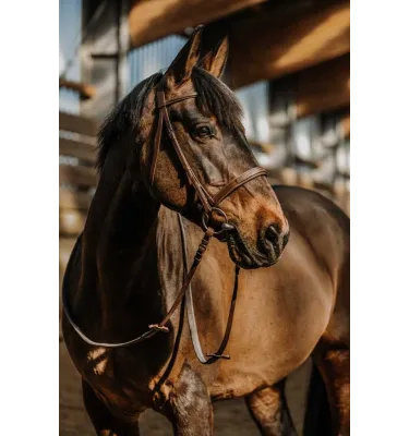 Ogłowie dla konia Hunter brązowe full