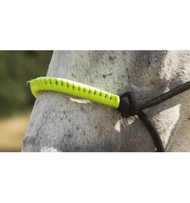 Halter z liną do pracy z ziemi Norton fuksja cob