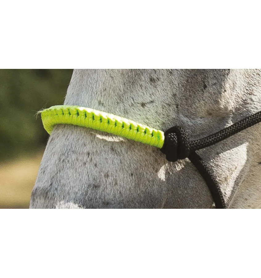 Halter z liną do pracy z ziemi Norton fuksja cob