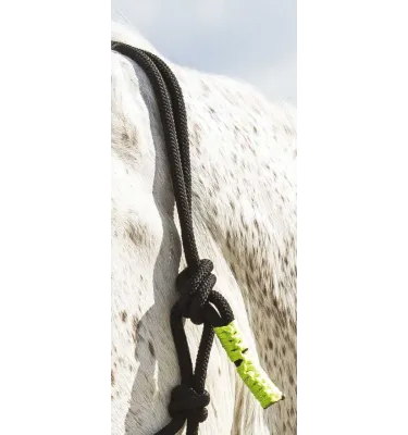 Halter z liną do pracy z ziemi Norton fuksja cob