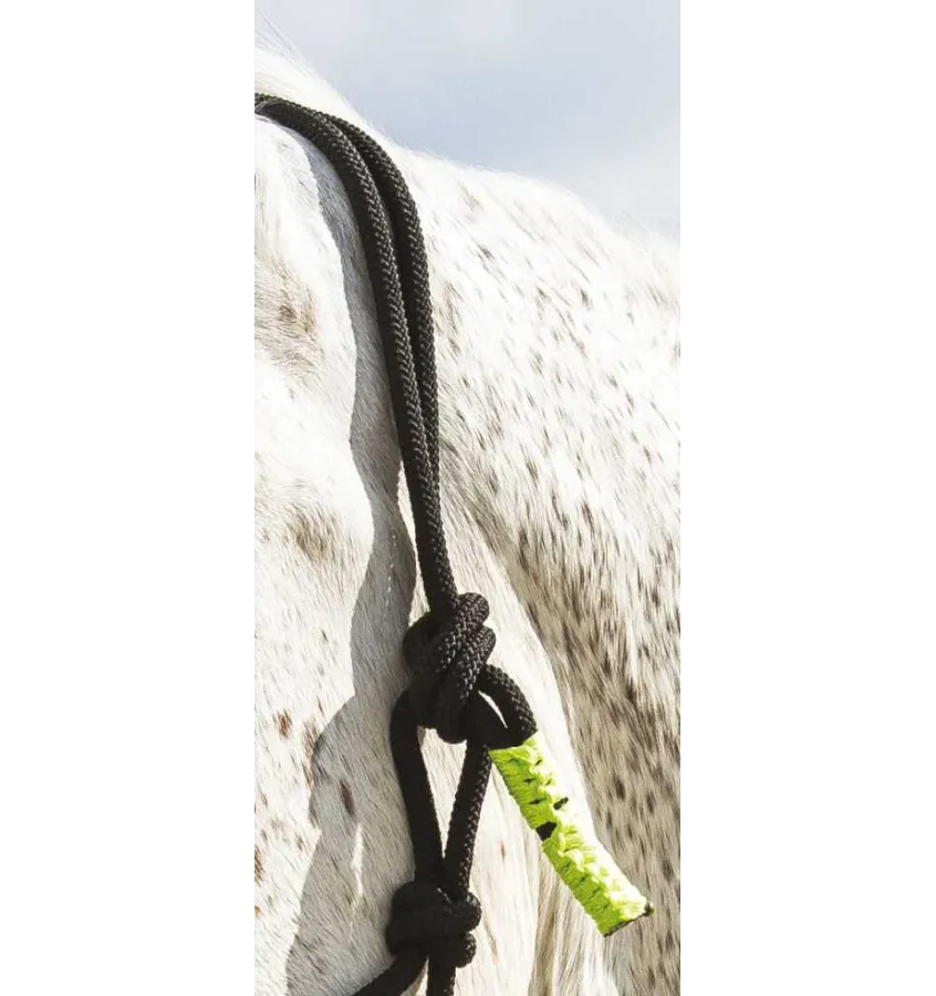 Halter z liną do pracy z ziemi Norton fuksja cob