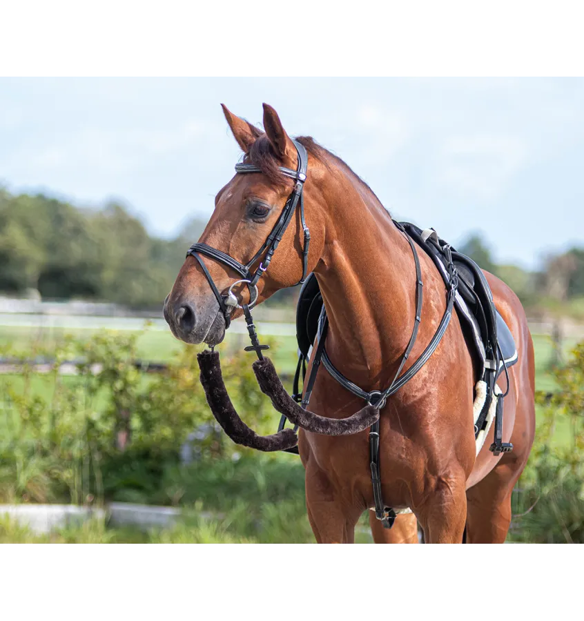 Futerka ochronne na wodze QHP brąz