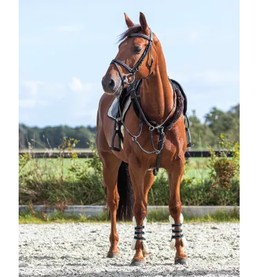 Futerka ochronne na wodze QHP brąz