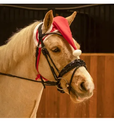 Świąteczna czapka dla konia QHP full