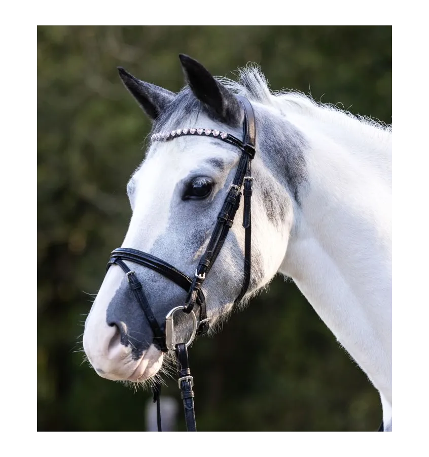 Ogłowie dla kucyka Happy Hearts pony