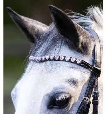 Ogłowie dla kucyka Happy Hearts pony