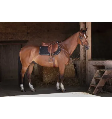 Popręg profilowany Eric Thoms Pro czarny 115