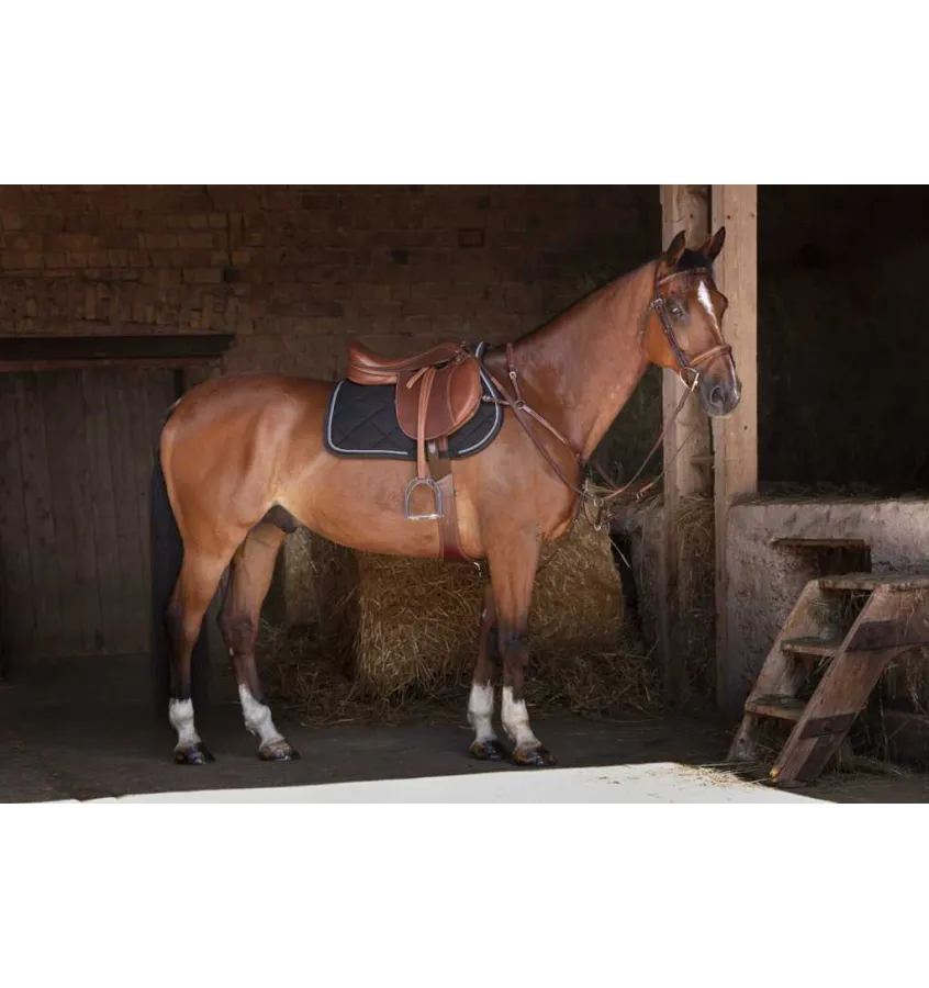 Popręg profilowany Eric Thoms Pro czarny 115