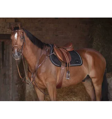 Popręg profilowany Eric Thoms Pro czarny 115