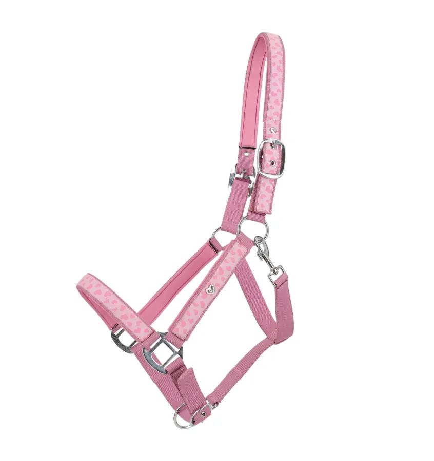 Kantar w serduszka Lyvia cob