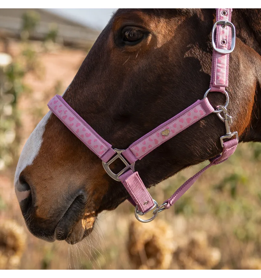 Kantar w serduszka Lyvia cob