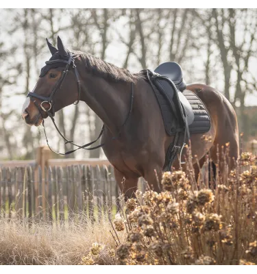 Czaprak pod siodło Salerno full uje czarny