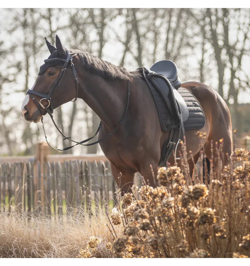 Czaprak pod siodło Salerno full uje czarny