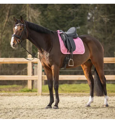 Czaprak pod siodło Lyvia full uje