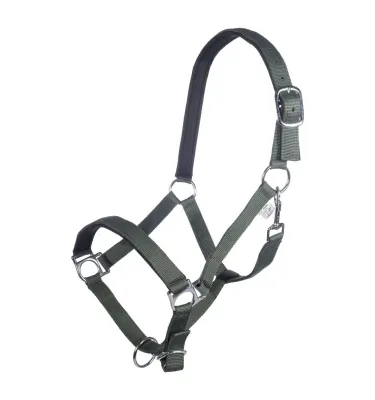 Kantar Stars Sofy ciemny lila cob