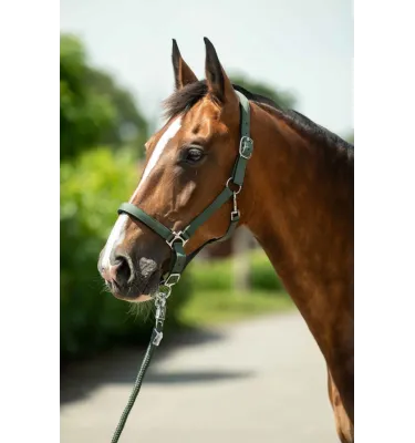 Kantar Stars Sofy ciemny lila cob