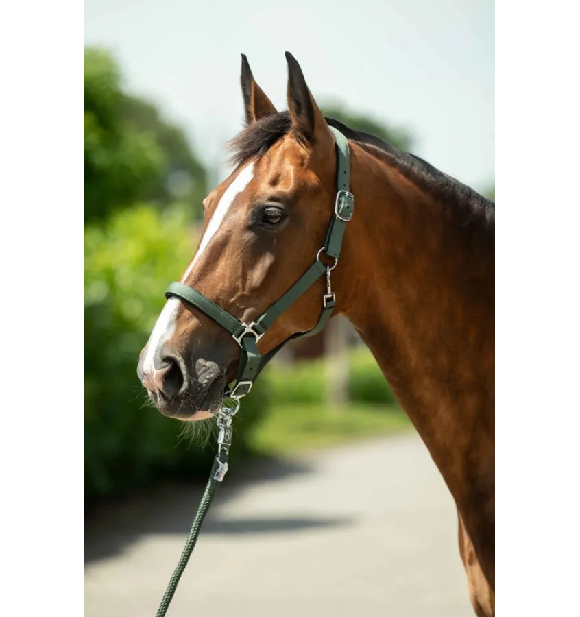 Kantar Stars Sofy ciemny lila cob