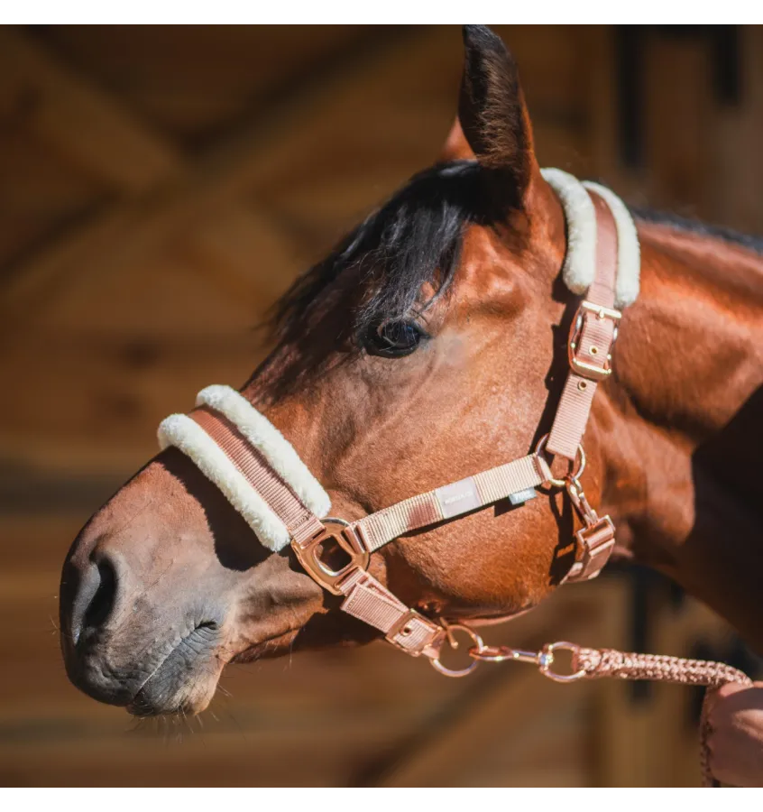 Kantar dla konia z futerkiem Pearl