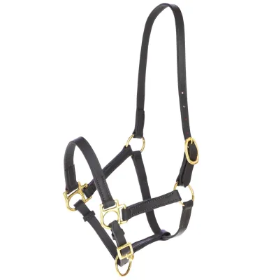 Kantar skórzany źrebięcy Eco brązowy