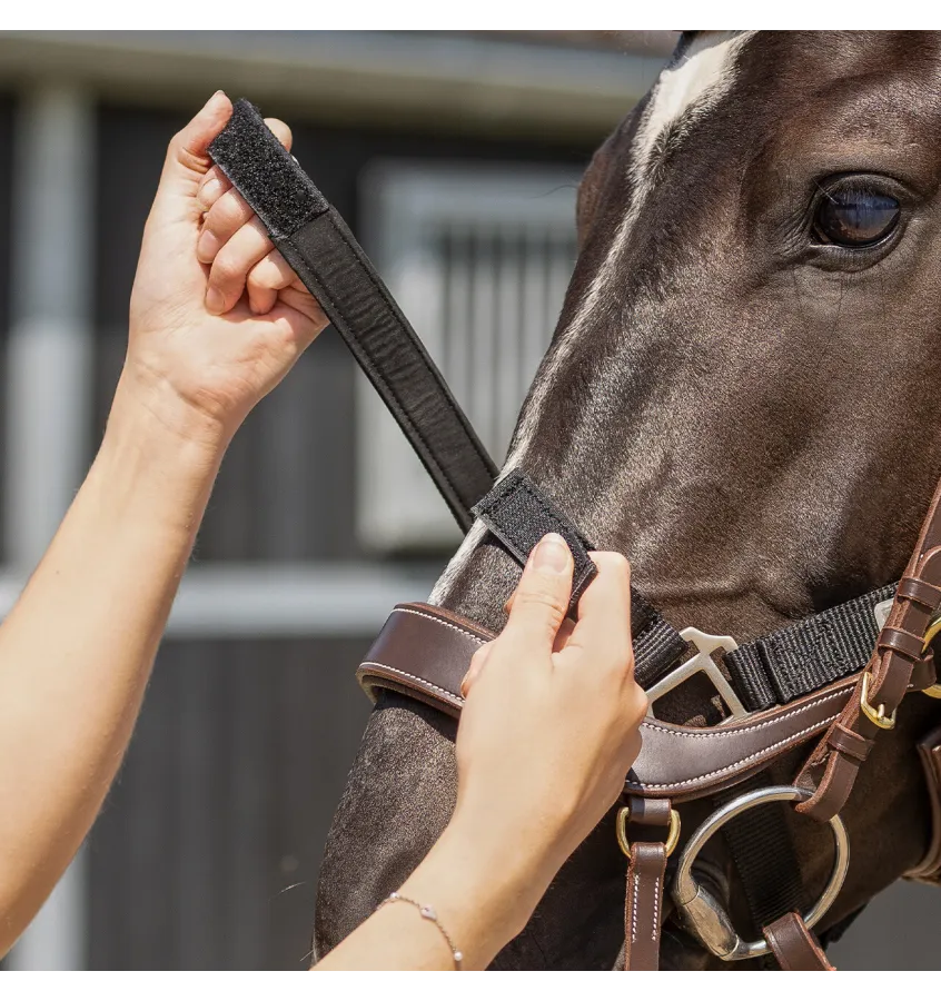 Kantar z rzepami do siodłania czarny cob