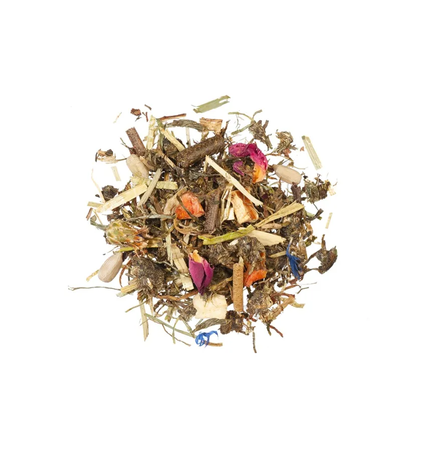 AGROBS AlpenGrun Seniormusli 15 kg musli dla starszych koni