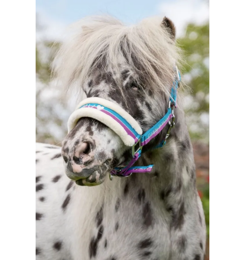 Kantar dla kucyka z futerkiem Funny Horses fiolet/aqua/srebrny mini shetty