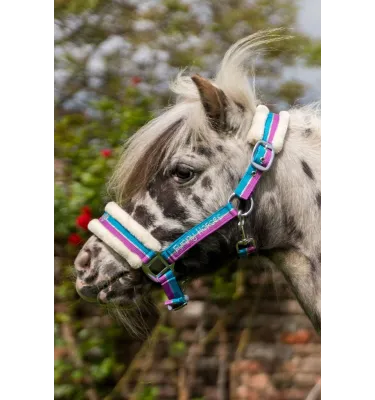 Kantar dla kucyka z futerkiem Funny Horses fiolet/aqua/srebrny mini shetty