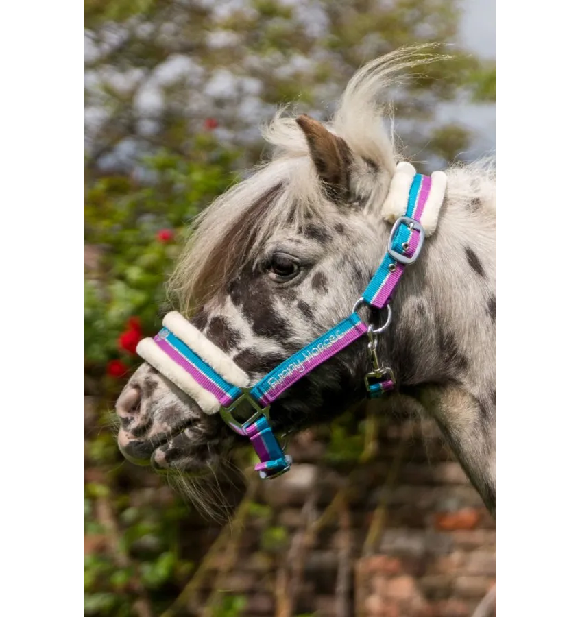 Kantar dla kucyka z futerkiem Funny Horses fiolet/aqua/srebrny mini shetty