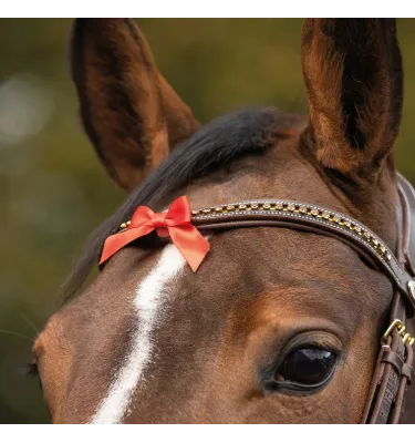 Mała kokardka ostrzegawcza do ogłowia QHP