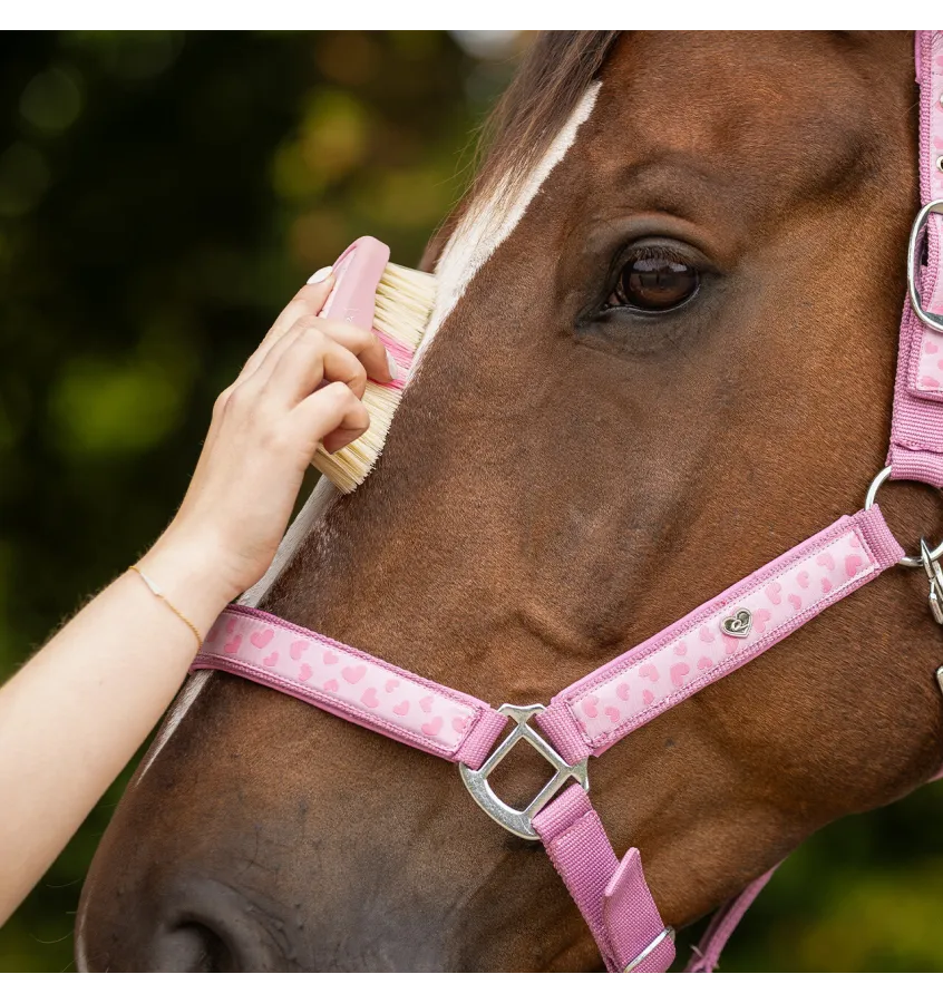 Mała szczotka do głowy konia Lyvia