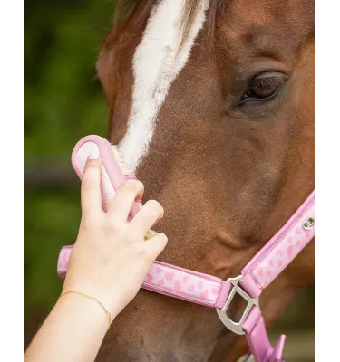Mała szczotka do głowy konia Lyvia