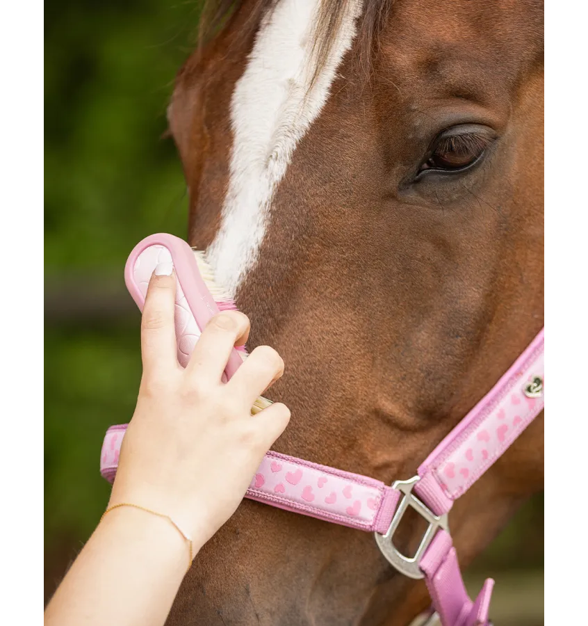 Mała szczotka do głowy konia Lyvia