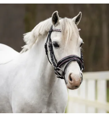 Ogłowie dla kucyka z serduszkami Bixie róż mini shetty